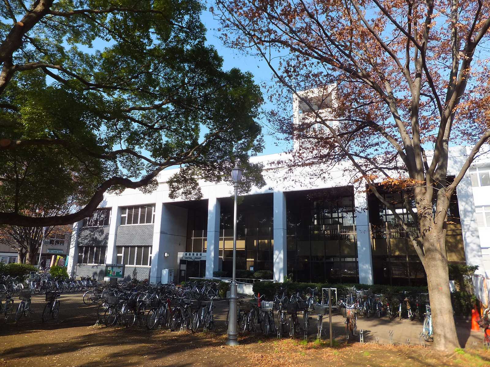 A university library building framed by trees and rows of bicycles.