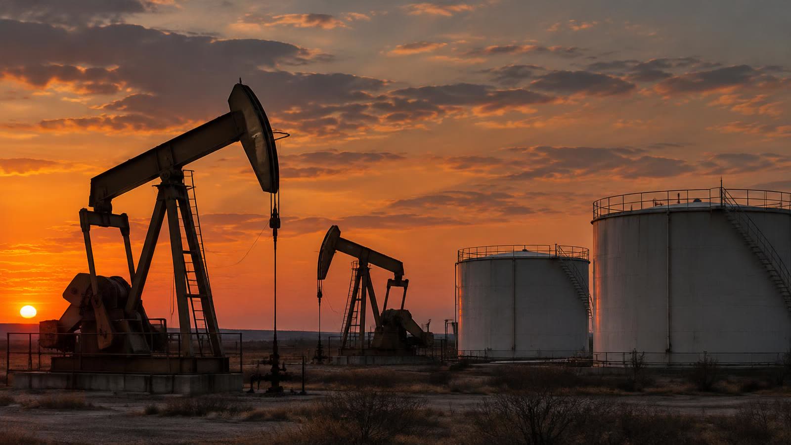 OPEC+ Keeps Oil Output Unchanged as G7 Countries Release Diesel From Reserves: What It Could Mean for Fuel Prices